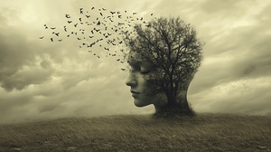 Artistic representation of a person with a tree head and birds flying away at sunset