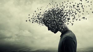 Human silhouette dissolving into a swarm of birds against a cloudy sky backdrop