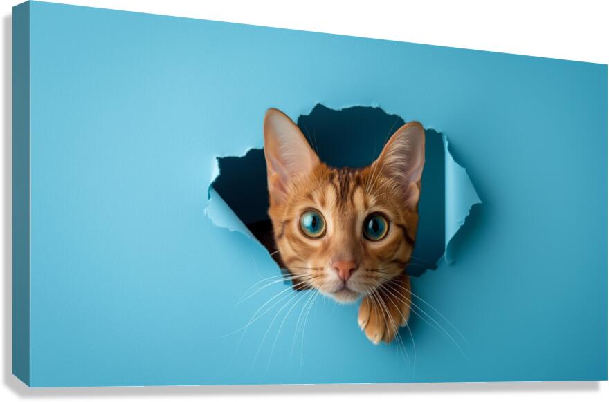 Curious Cat Peeking Through Blue Wall Hole Canvas Print
