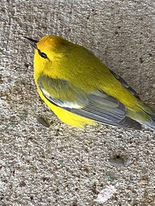 03E7906C 5CB7 494C AC9E E12E61509084