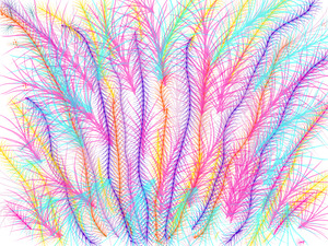 13DBF90D C210 42CD A956 658D1833CEAD