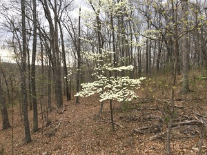 2304DC35 3DFD 463D 8CA0 D1F7E01E248C