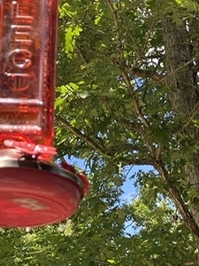 2A12CE17 6078 4C3C AF42 C4CFAD962CC1