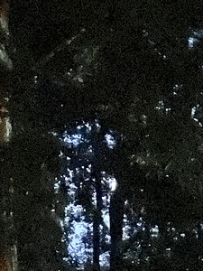 8DD52779 6447 4E3D 8092 5DDCEB245437