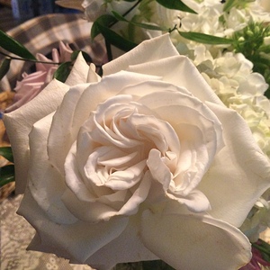 3C42779B 0D9D 4152 8BD7 767EAAA7A6EE