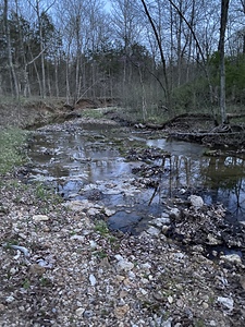 420495B6 937B 4DC2 AD7F 5855B3E852E7