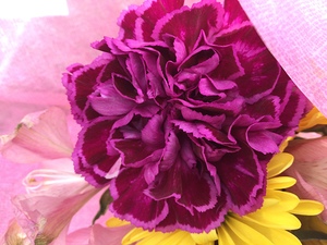 5427E57C E1D1 44DD 9F85 7C8F7A414035