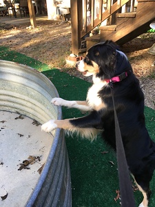 594D144A F2E7 4E65 8354 C8A82FC63B09