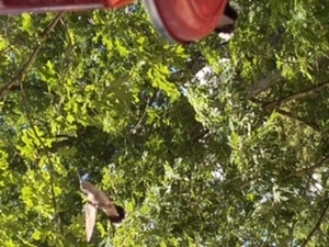 5F2914E4 E6B6 4523 AA51 77E9A33E28E3