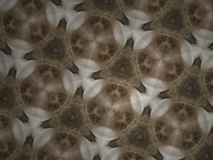 5FDE430C 9ED2 4093 903A C4A31DEC987B