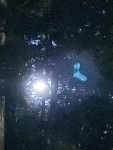 3E2B363B 85F5 45D1 8A3B 6A78CE40D304