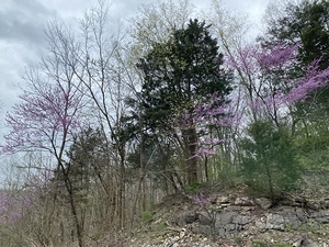 609F16AD 222D 456C 8D83 D08DAD28B6FA