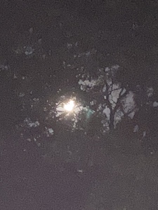 46579A32 7A9A 42F2 9B6F 6AFBFB182220