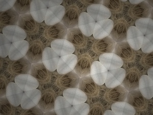 7D6D7D5D E70D 458B BC58 11FBEEB2D9D3