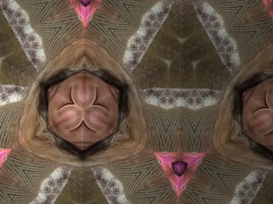 8888C576 F58A 48EA 92FA 7E307F4B503A