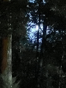 7A709B28 C04F 4ECC A901 8C72BF5EFBE6