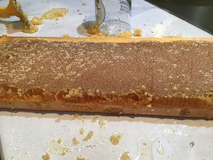 91A677F1 9BB4 4764 97F3 019A9B22FA12