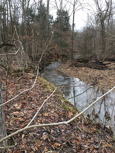 963654BD D00E 4C32 B55E F2FC73522641