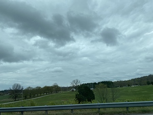 99D396EF 4619 4D99 B21A 7EC068623B1B