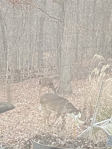 9DE279DA 3878 40FA AB72 612514CDF718