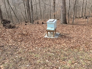 A0D6899E E1F5 4211 B652 31D720519123