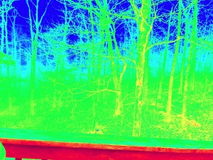 AC9BD857 45FC 4C6C 9924 315EE699F558