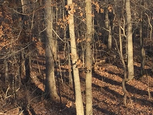 BE30F4BE 007C 4140 8A02 6D3D8F02F7B2