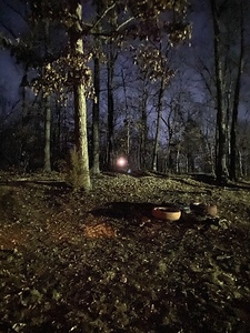 CEBA8E49 B015 4B23 853A 9FE5CBF2D8B5