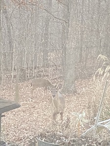 DF30CFD9 9FE0 4C09 A408 3220DB1D618B