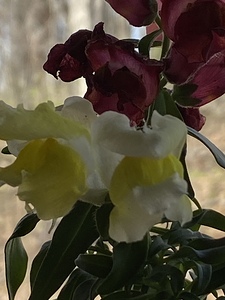 E911F3D0 3DAD 4841 AA0A C50F038B04E5