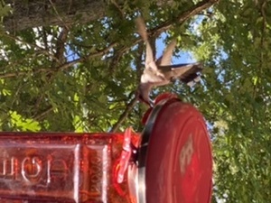 F20F1704 0F06 4C03 B6B5 14D87D77F57F