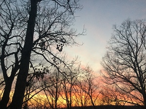 F34C0760 DB8A 40DE 9B6B 325BC077C176