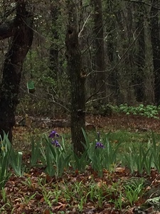 FA48C97A 2E25 479A B3B0 6118F39ABAE2