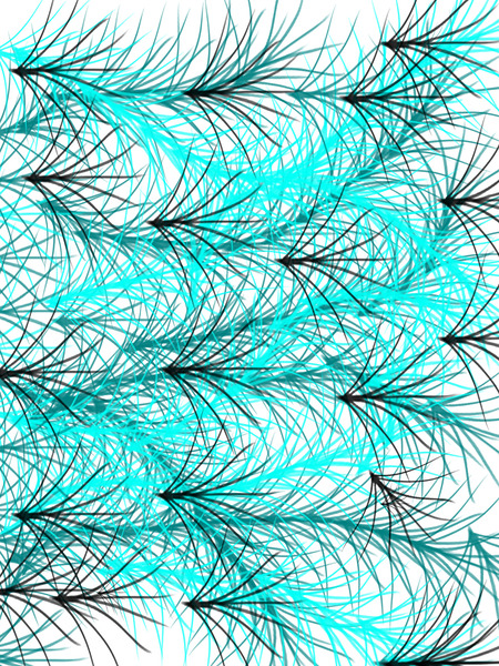 21EECB01 8765 42EB BB44 24ED633120B8 Print