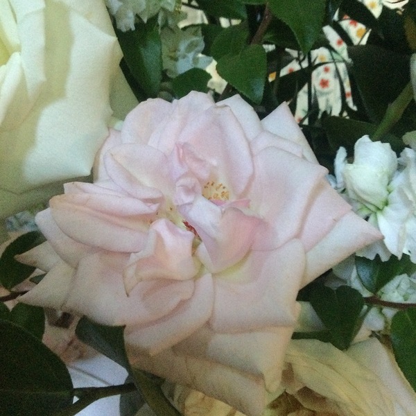 6CAD6156 6F76 4FD5 8652 4FA8ED2420E9 Print