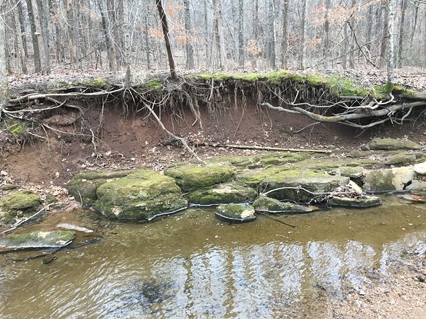 8D3B55C6 982D 4A05 A4E8 40277914F50C Print