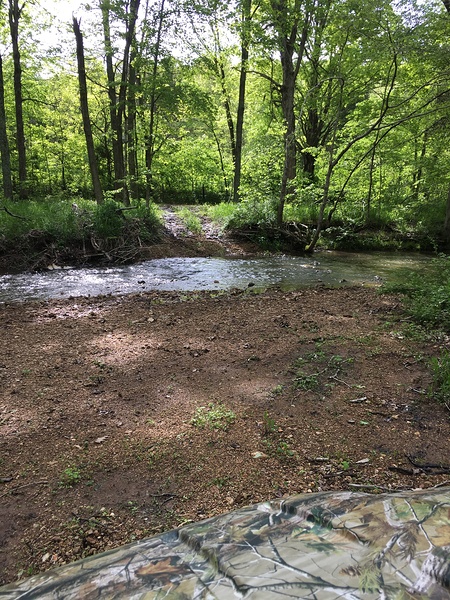 98FE13CE 825F 4D54 9BAF 96484FDA03C2 Print