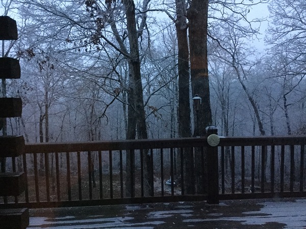 9ED766C3 ED1B 4B47 94A5 1756739BD025 Print