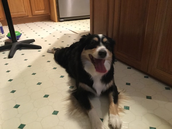 CED82A30 EC9C 4A67 950F 880C3A810FA9 Print