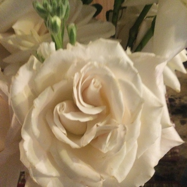 EFA3812E 008C 4A0B AA1B 55AE6E697AAC Print