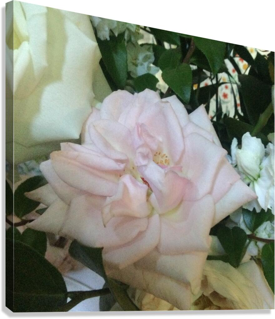 6CAD6156 6F76 4FD5 8652 4FA8ED2420E9 Canvas Print