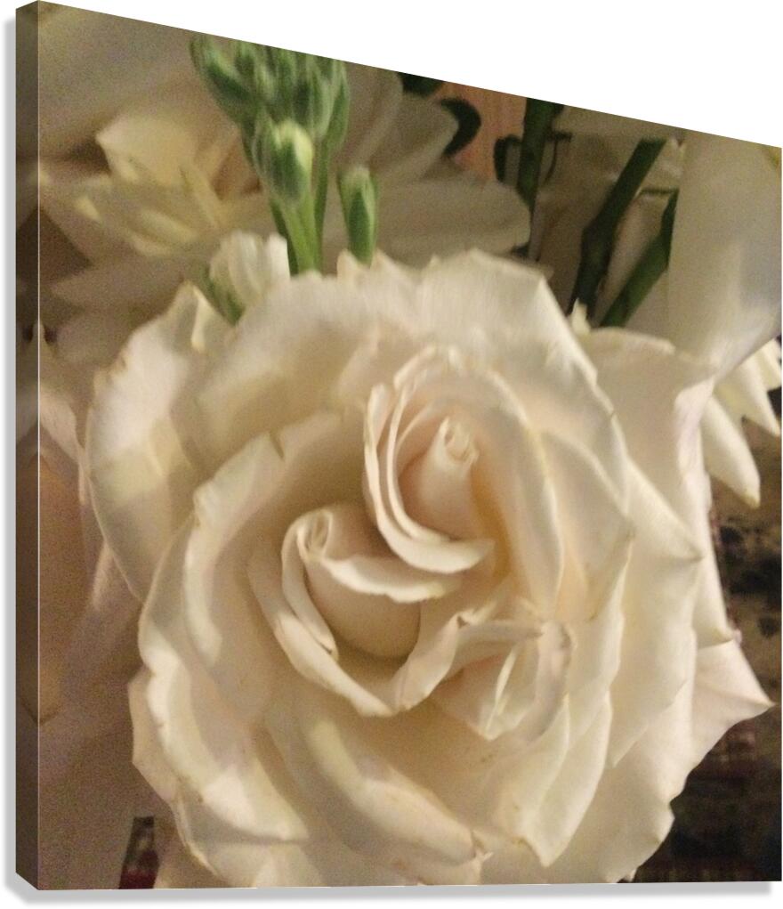 EFA3812E 008C 4A0B AA1B 55AE6E697AAC Canvas Print