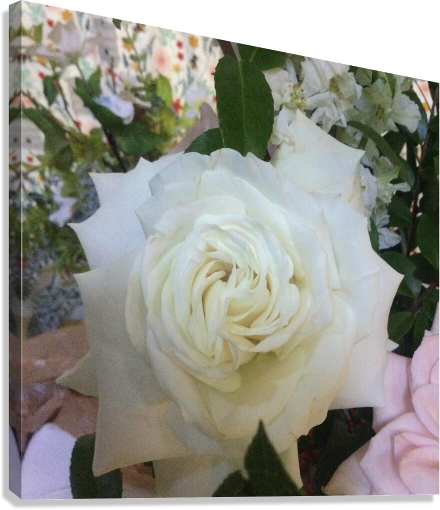 C04F7D9C 114C 413E 96C2 2282B360E461 Canvas Print