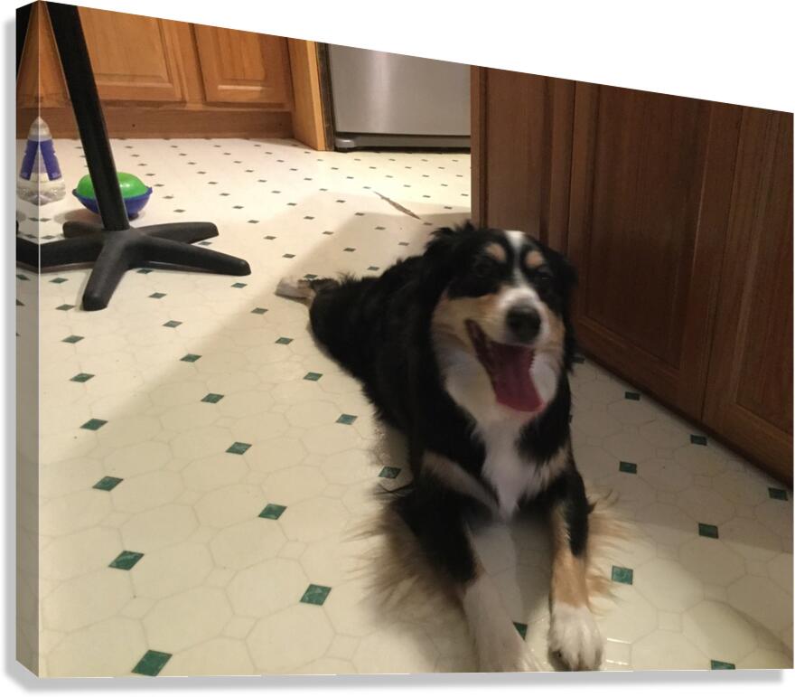 CED82A30 EC9C 4A67 950F 880C3A810FA9 Canvas Print