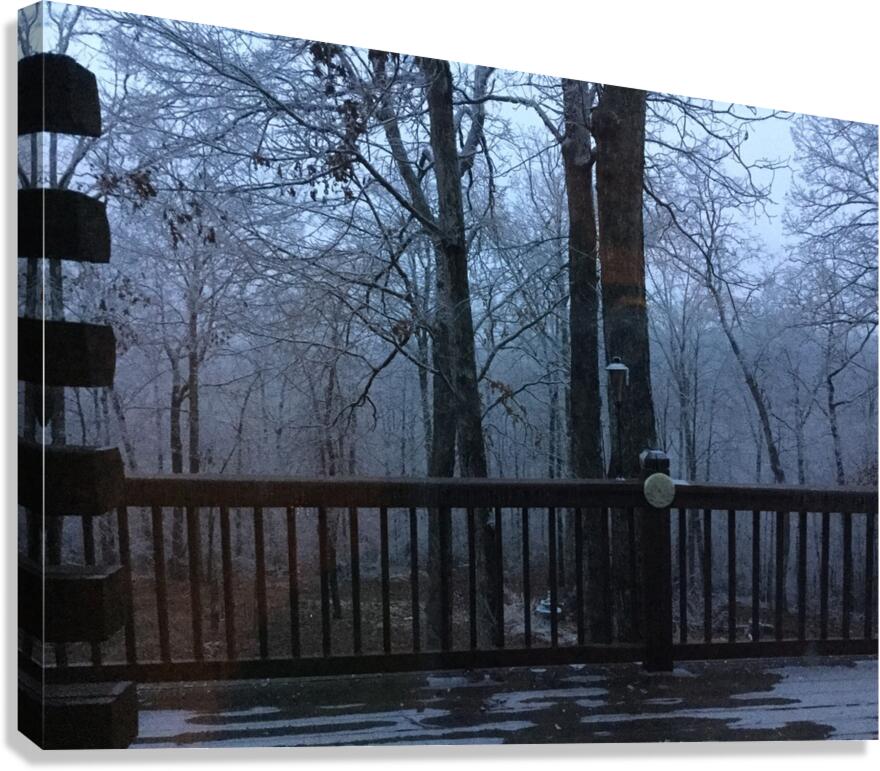 9ED766C3 ED1B 4B47 94A5 1756739BD025 Canvas Print