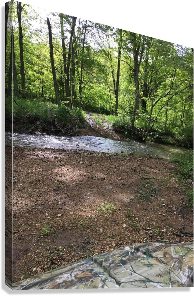 98FE13CE 825F 4D54 9BAF 96484FDA03C2 Canvas Print