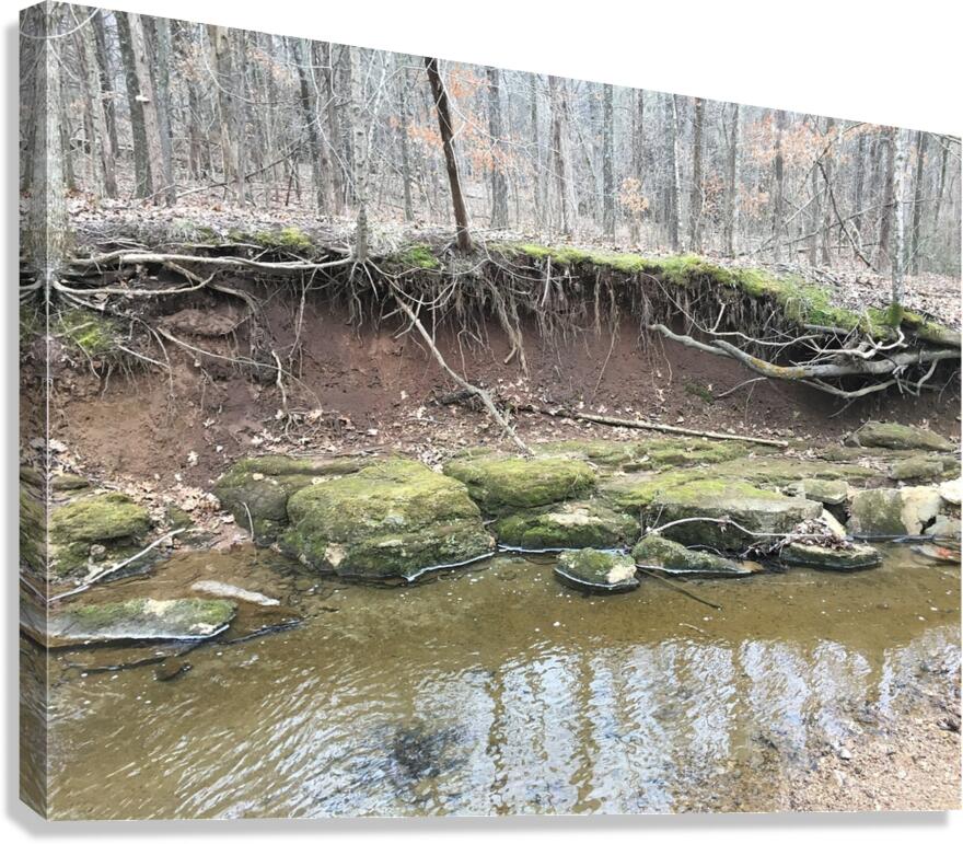 8D3B55C6 982D 4A05 A4E8 40277914F50C Canvas Print