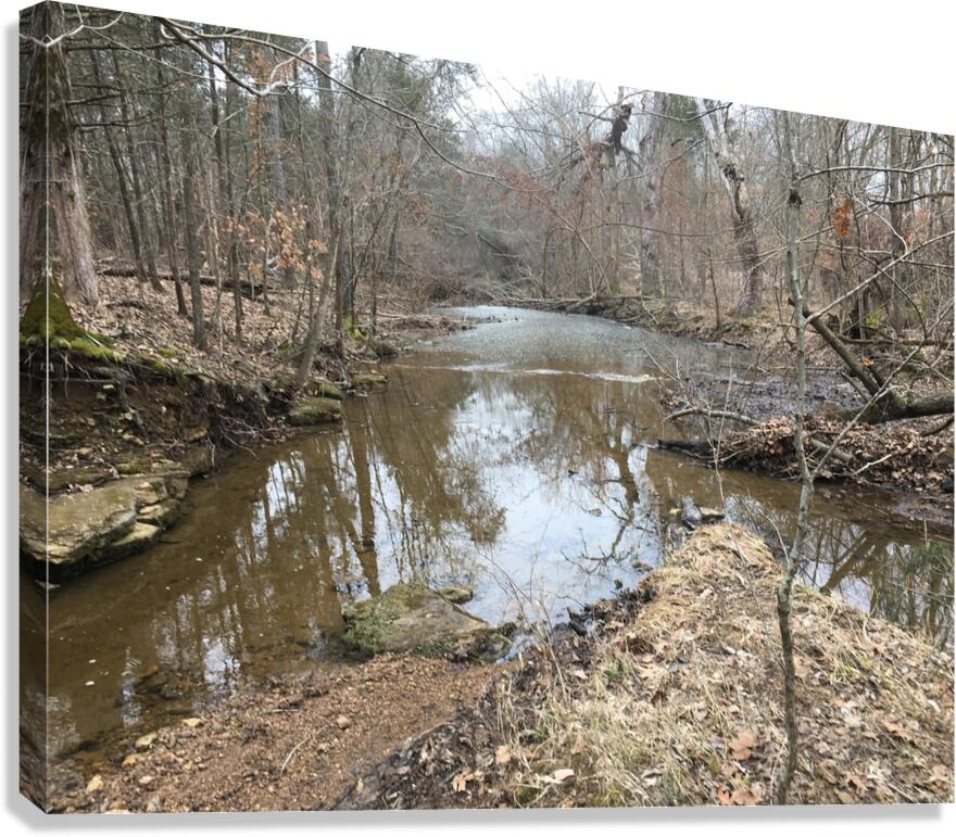 12243B56 739A 4B7A AF0A F21CFCB1917B Canvas Print