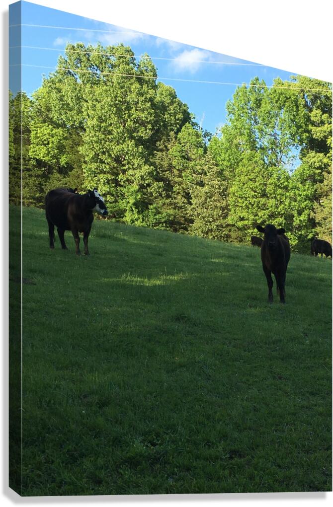 419FAC2D 7F14 403D AD16 C7AF74EDE89C Canvas Print