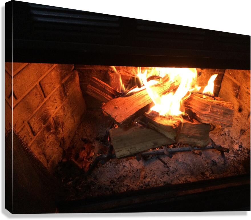 69FD78C5 6AE7 4946 86CB 455847FEC87C Canvas Print